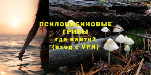 прущая мука Дмитровск