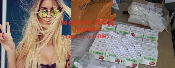 стафф Дмитров
